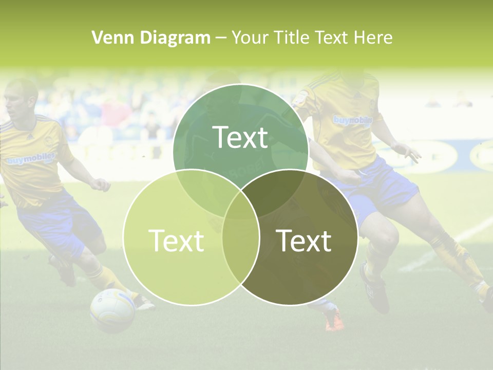 Bluebirds Craig Bellamy English PowerPoint Template