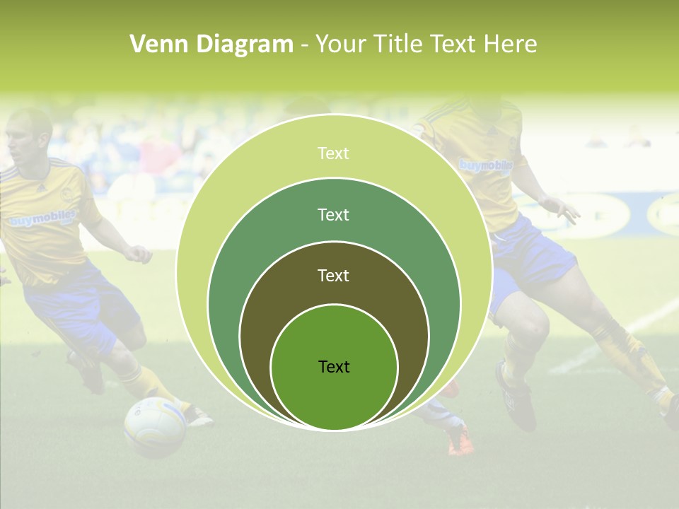 Bluebirds Craig Bellamy English PowerPoint Template