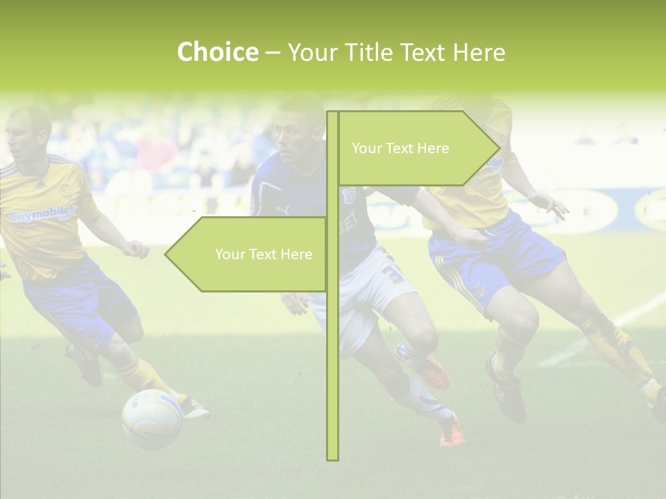 Bluebirds Craig Bellamy English PowerPoint Template