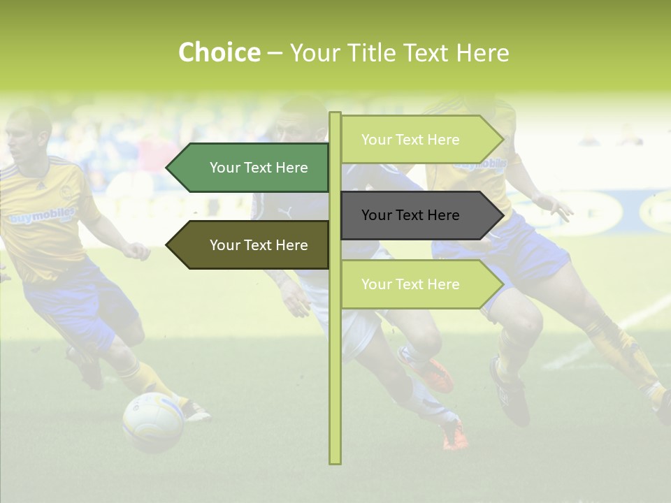 Bluebirds Craig Bellamy English PowerPoint Template