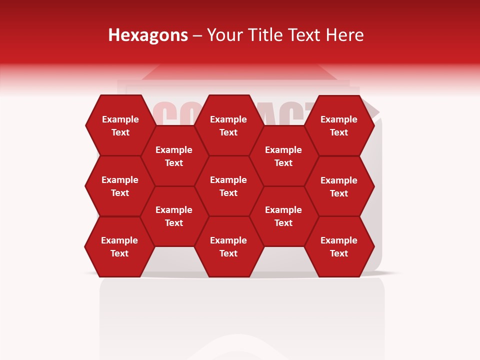 Contact Background Information PowerPoint Template