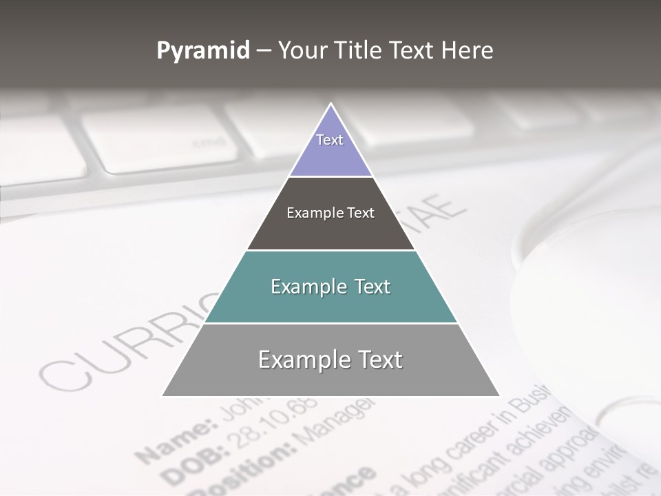 Job Application Colour Words PowerPoint Template
