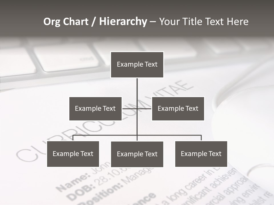Job Application Colour Words PowerPoint Template