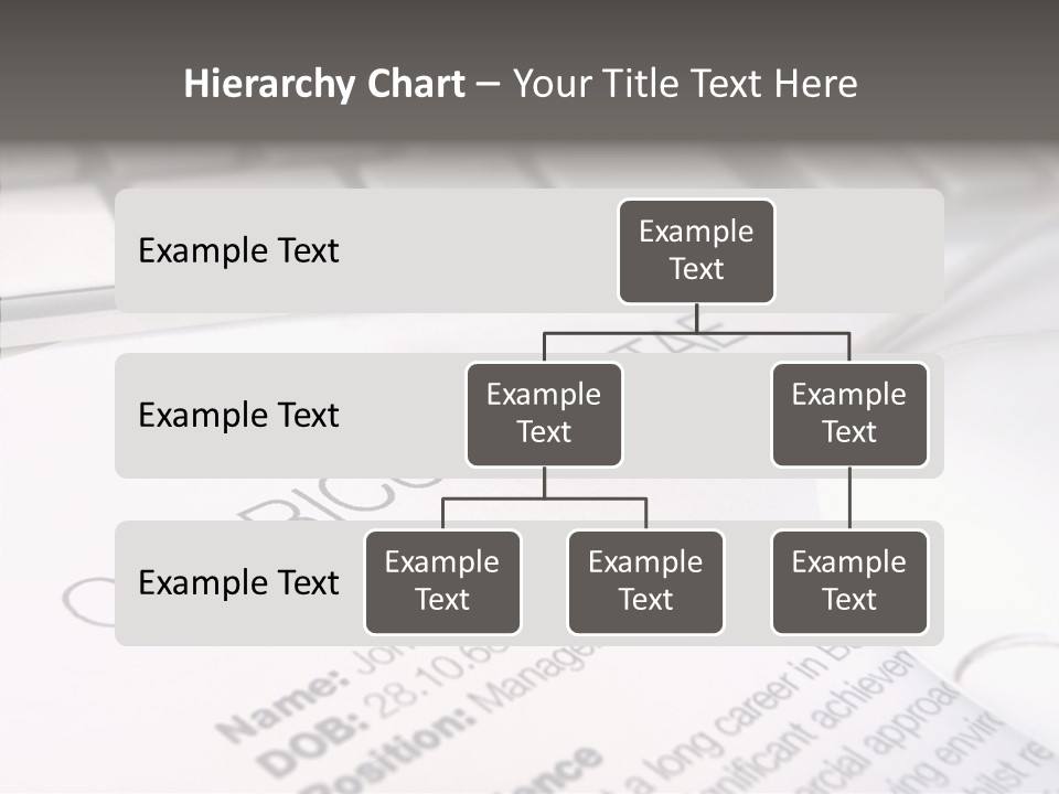 Job Application Colour Words PowerPoint Template