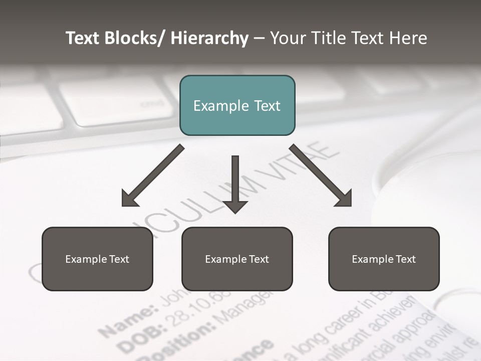 Job Application Colour Words PowerPoint Template