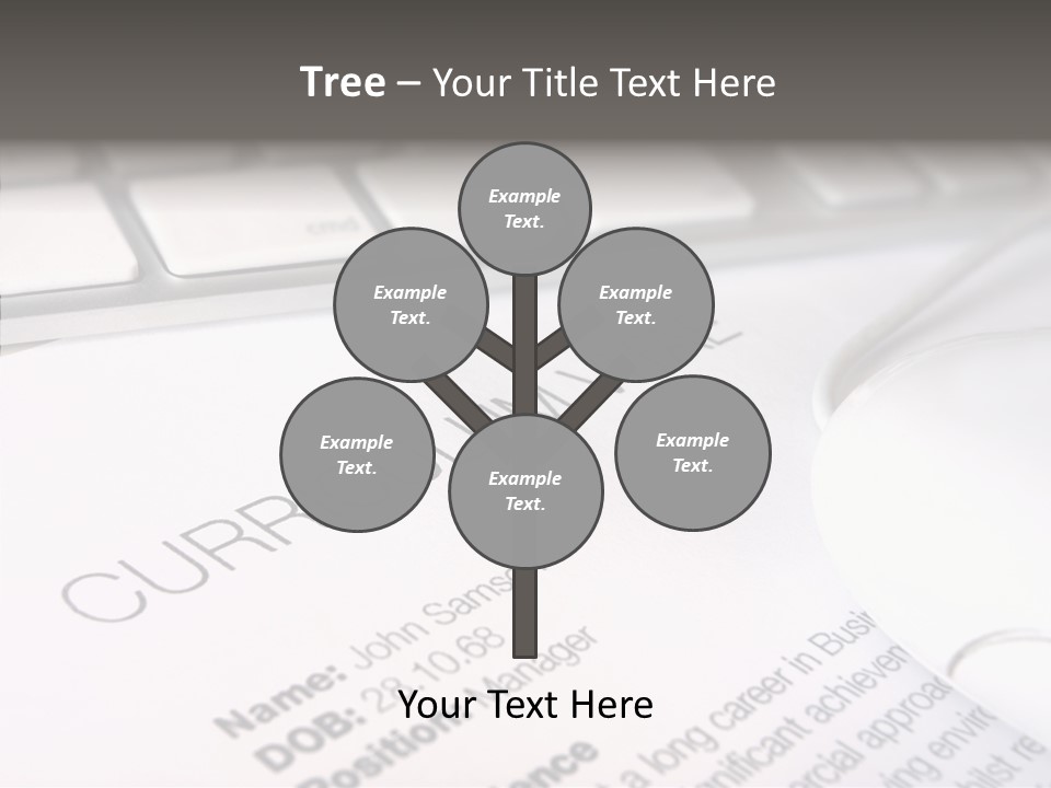 Job Application Colour Words PowerPoint Template