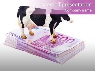 Europe Banknote Research PowerPoint Template