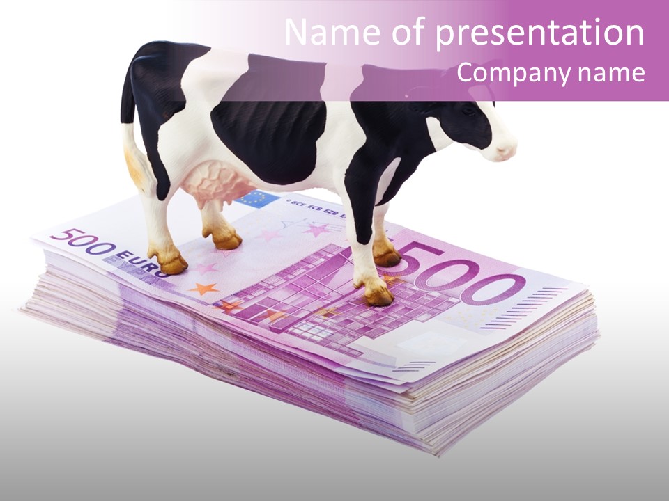 Europe Banknote Research PowerPoint Template