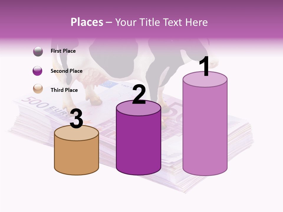 Europe Banknote Research PowerPoint Template