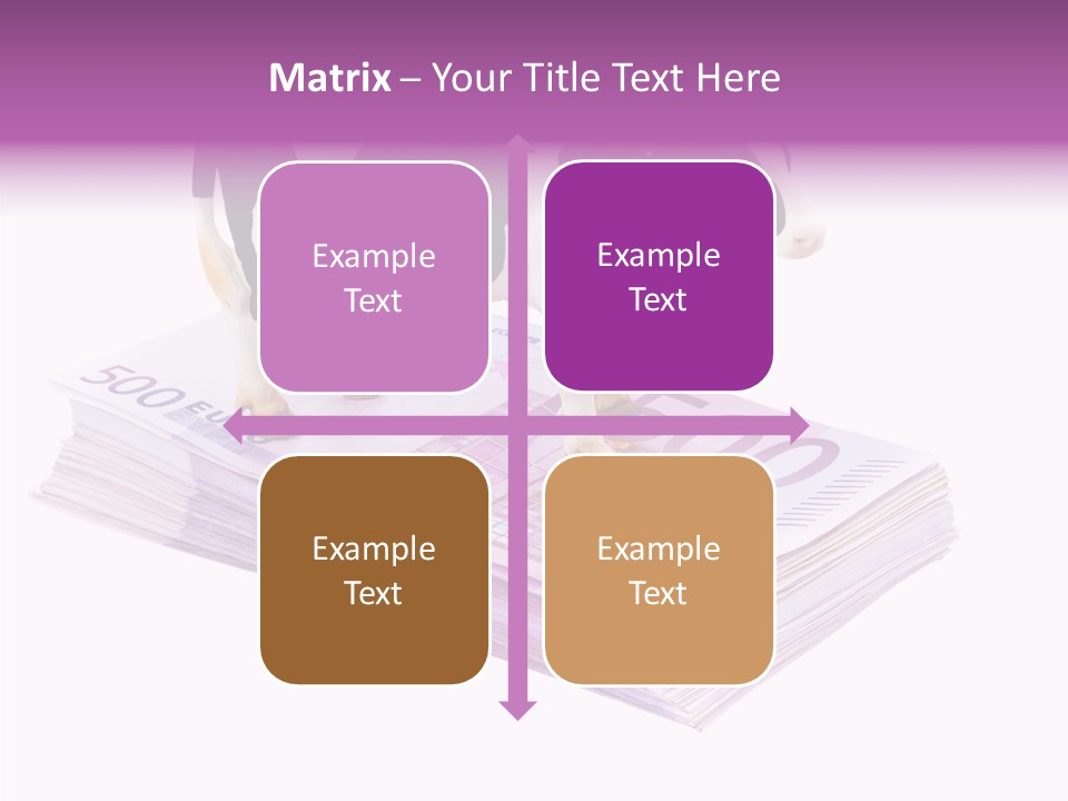Europe Banknote Research PowerPoint Template