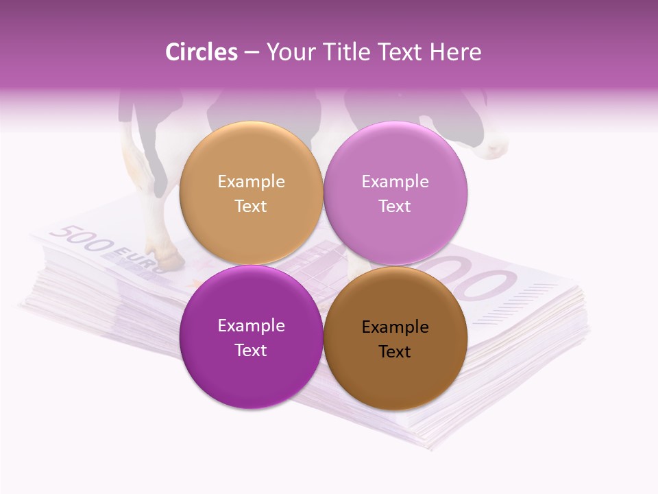 Europe Banknote Research PowerPoint Template