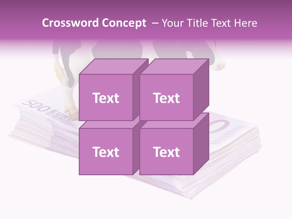 Europe Banknote Research PowerPoint Template