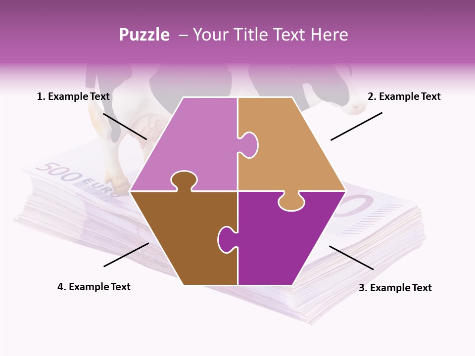 Europe Banknote Research PowerPoint Template