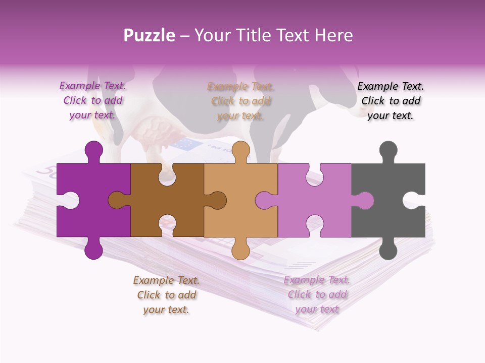 Europe Banknote Research PowerPoint Template
