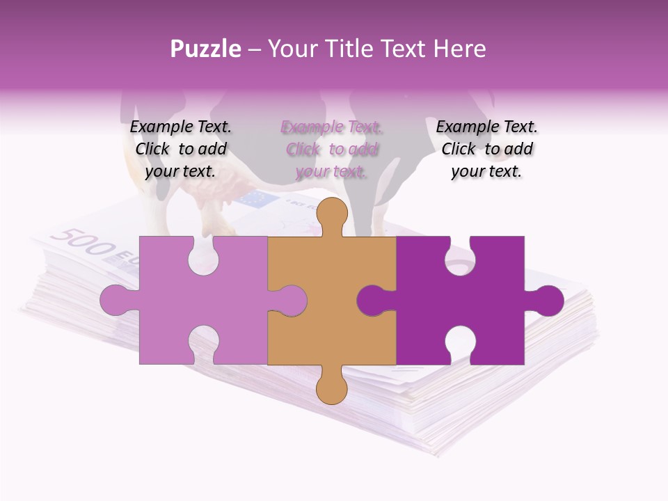 Europe Banknote Research PowerPoint Template