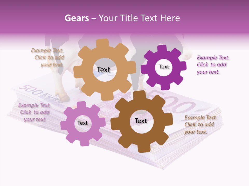 Europe Banknote Research PowerPoint Template
