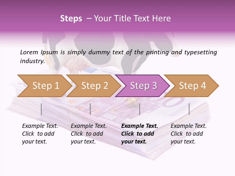 Europe Banknote Research PowerPoint Template
