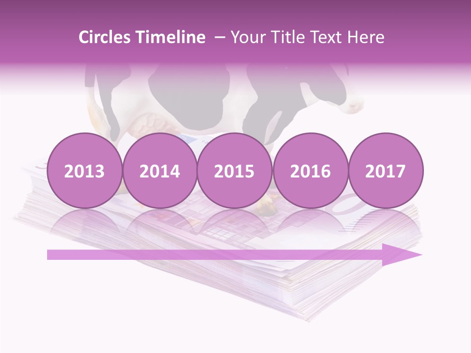 Europe Banknote Research PowerPoint Template