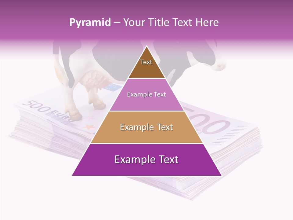 Europe Banknote Research PowerPoint Template