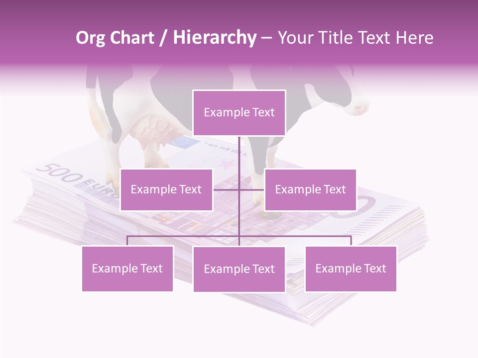 Europe Banknote Research PowerPoint Template