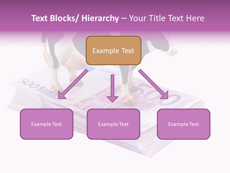 Europe Banknote Research PowerPoint Template
