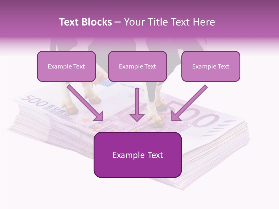 Europe Banknote Research PowerPoint Template