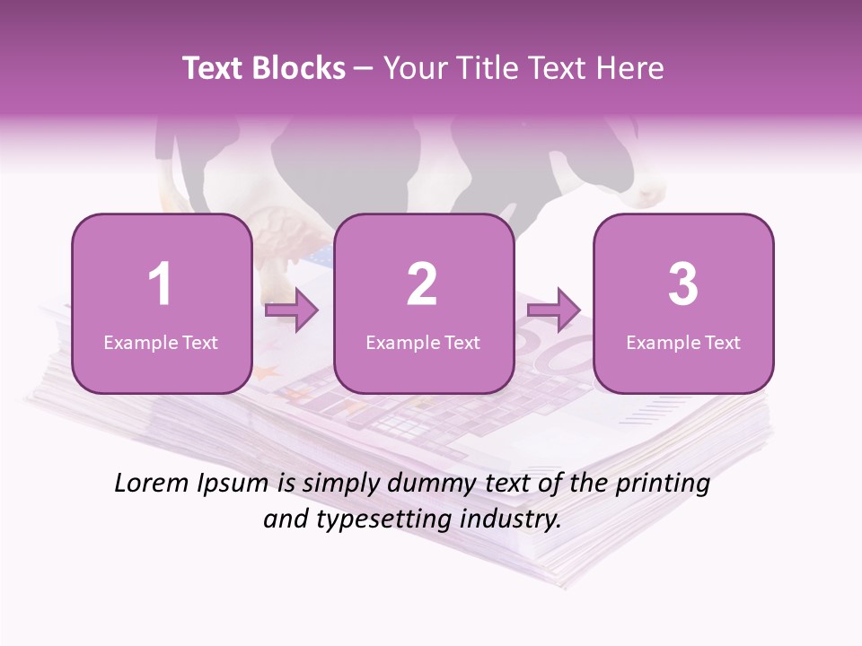 Europe Banknote Research PowerPoint Template