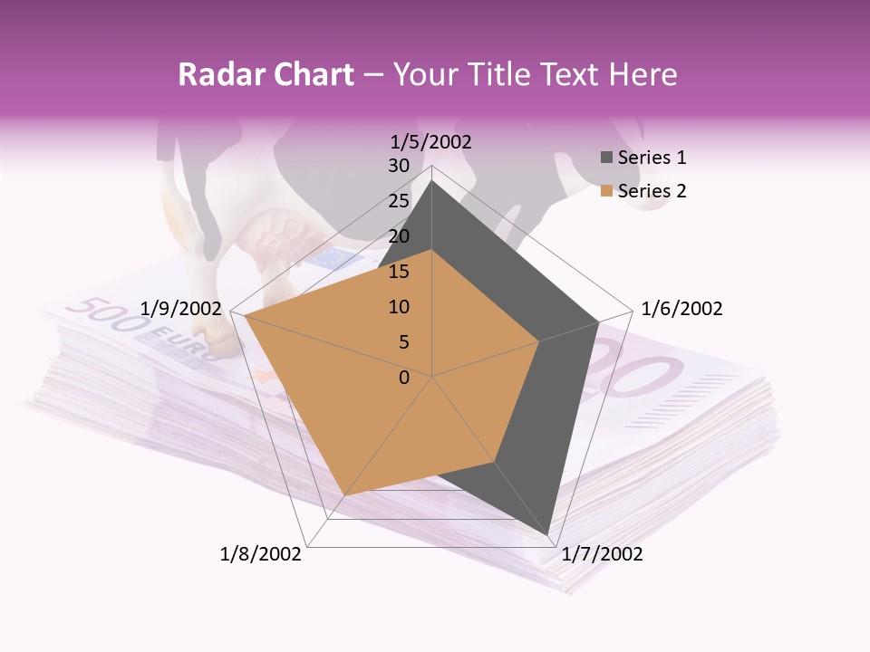 Europe Banknote Research PowerPoint Template