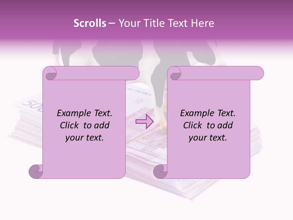 Europe Banknote Research PowerPoint Template