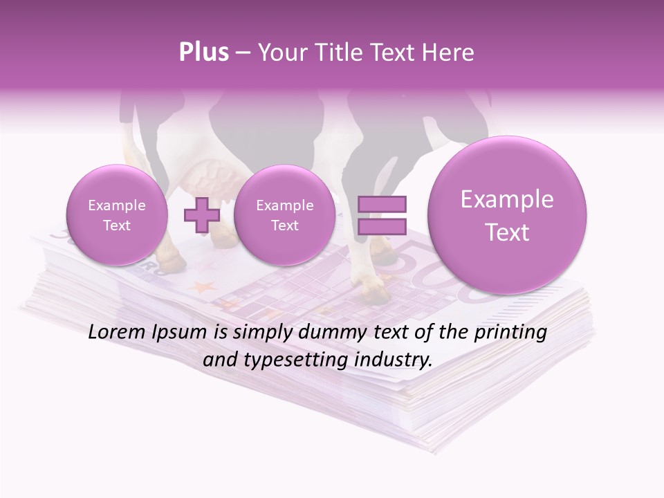 Europe Banknote Research PowerPoint Template