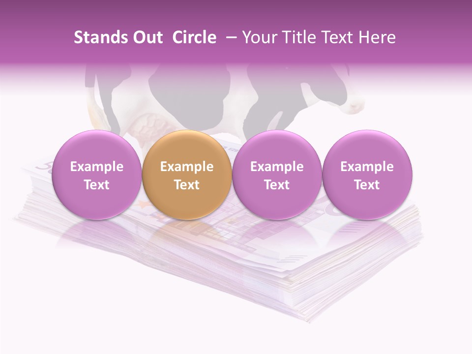 Europe Banknote Research PowerPoint Template