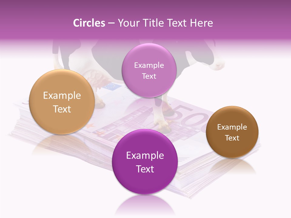 Europe Banknote Research PowerPoint Template