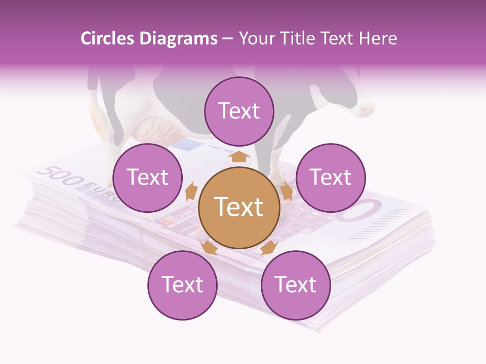 Europe Banknote Research PowerPoint Template