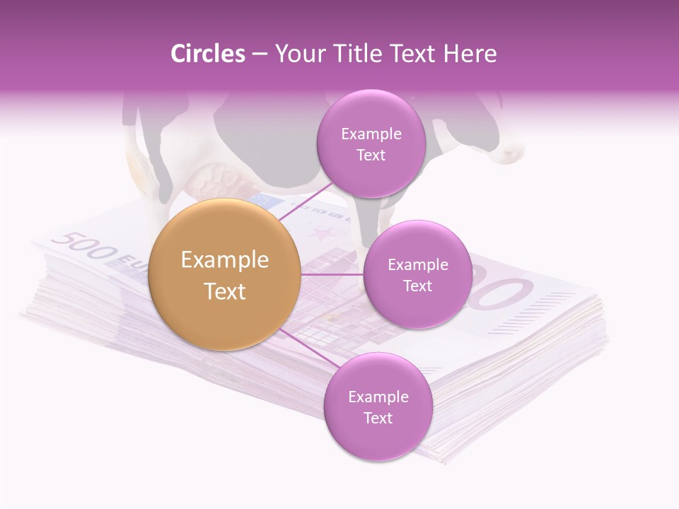 Europe Banknote Research PowerPoint Template