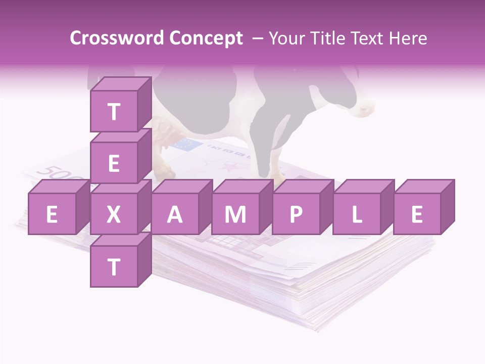 Europe Banknote Research PowerPoint Template