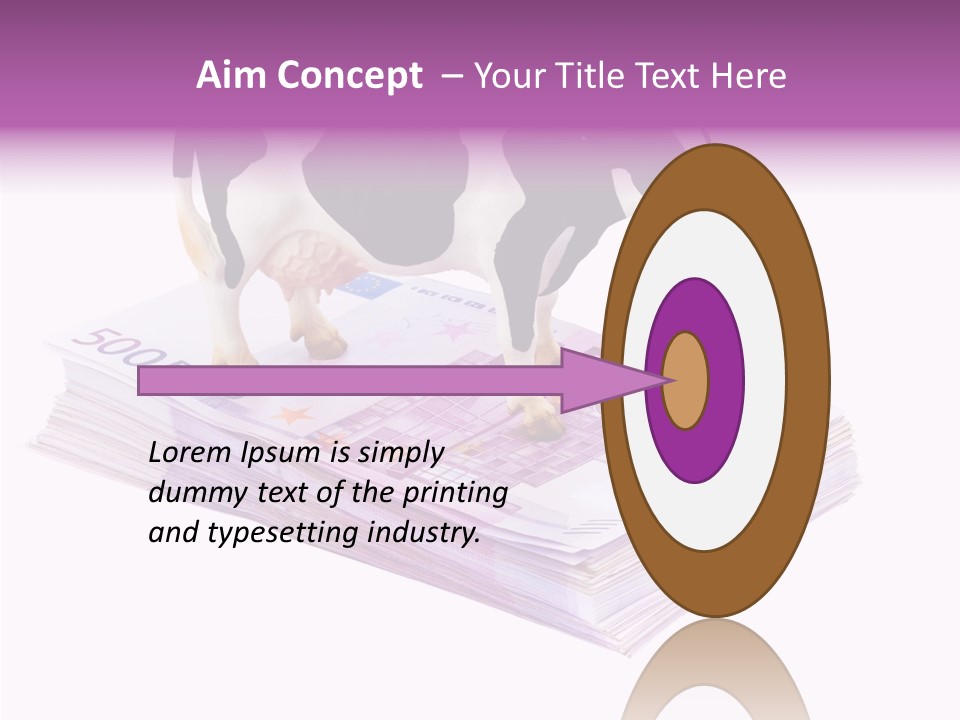 Europe Banknote Research PowerPoint Template