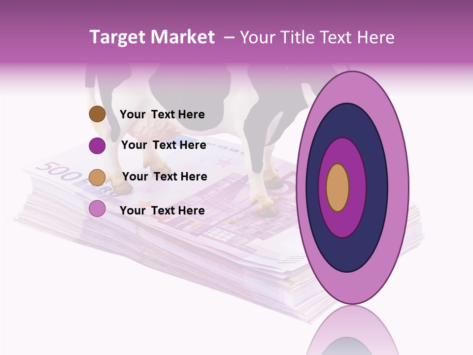 Europe Banknote Research PowerPoint Template