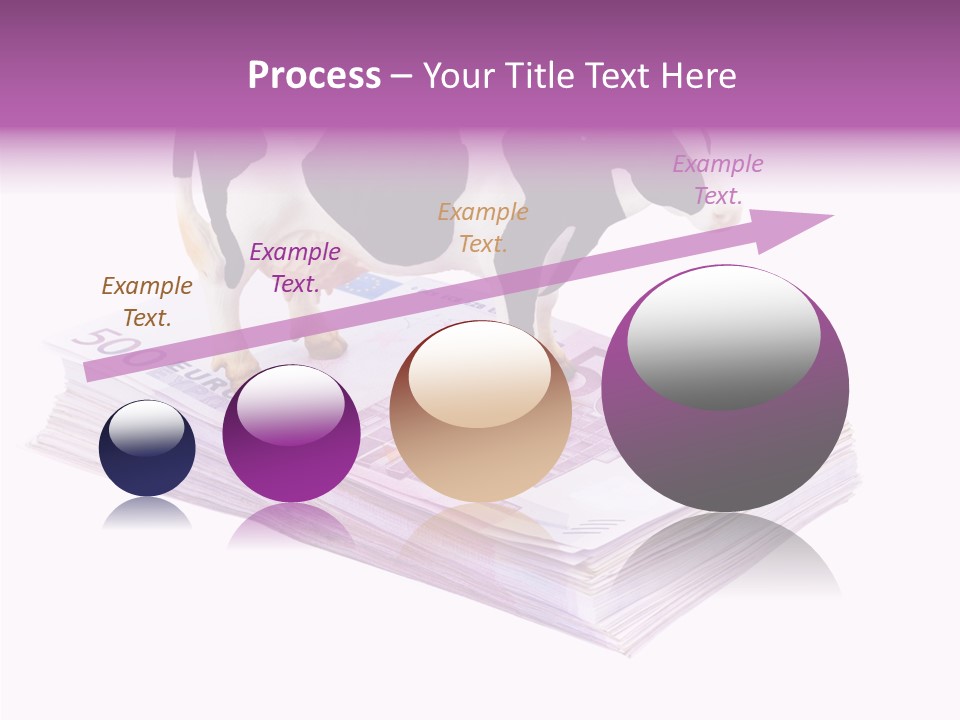 Europe Banknote Research PowerPoint Template