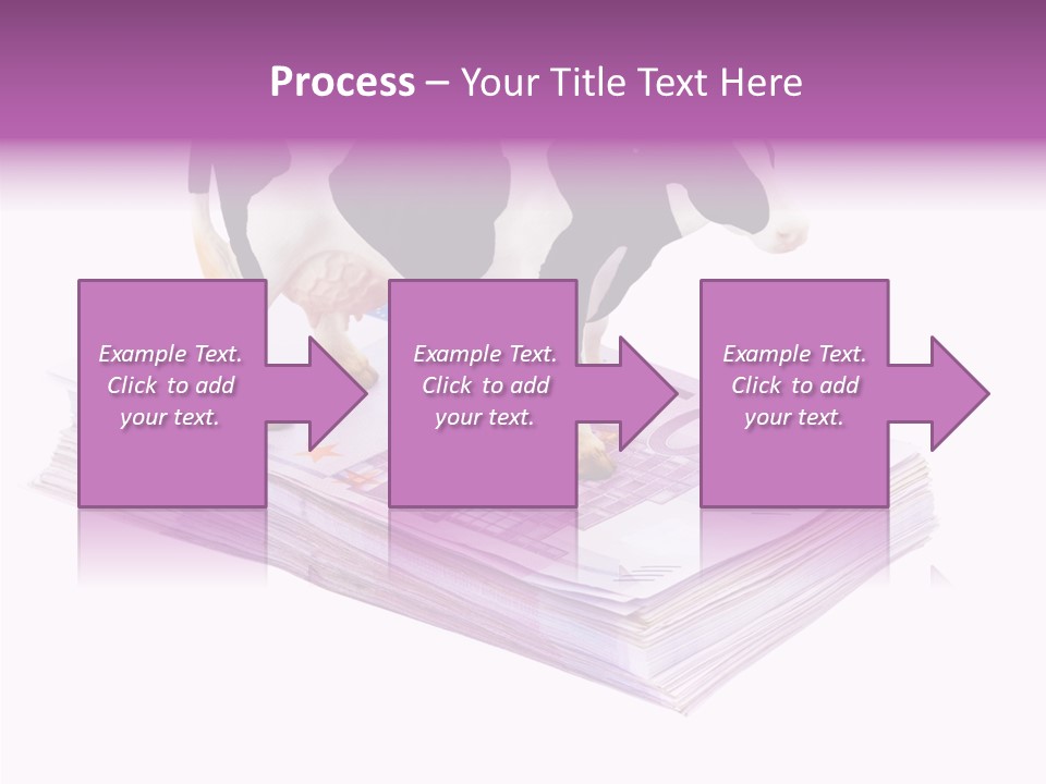 Europe Banknote Research PowerPoint Template