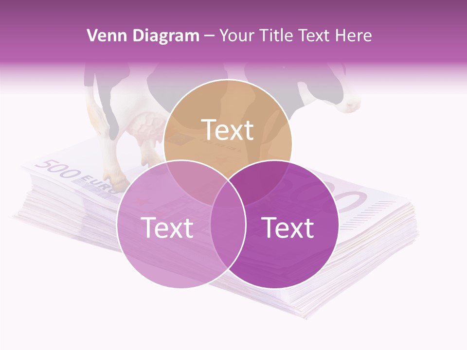 Europe Banknote Research PowerPoint Template