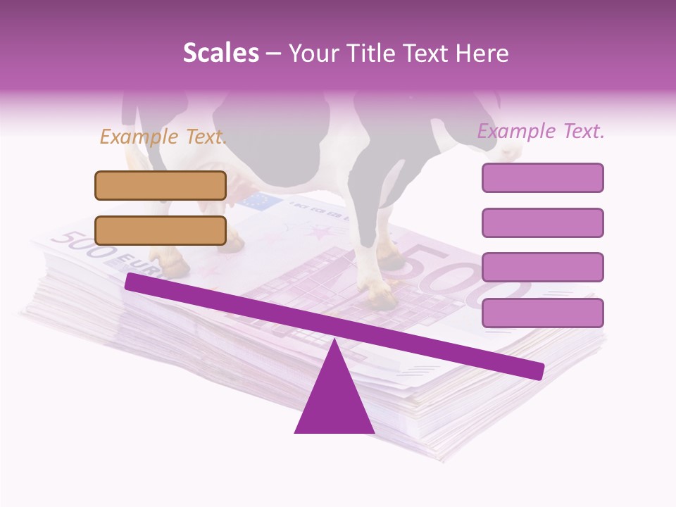 Europe Banknote Research PowerPoint Template