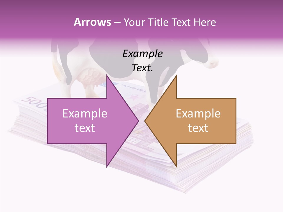 Europe Banknote Research PowerPoint Template
