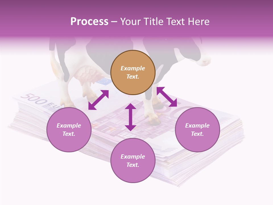 Europe Banknote Research PowerPoint Template