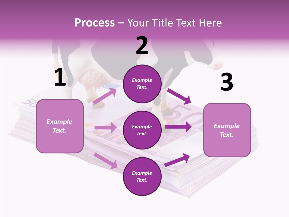 Europe Banknote Research PowerPoint Template