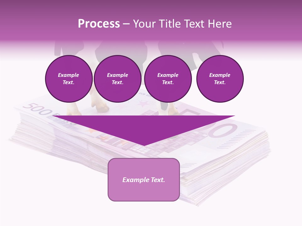 Europe Banknote Research PowerPoint Template