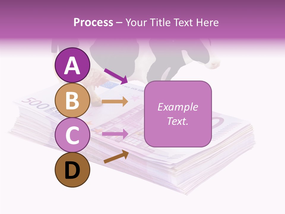 Europe Banknote Research PowerPoint Template