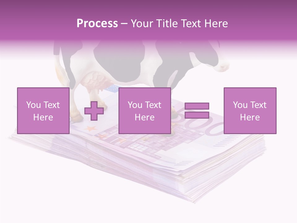 Europe Banknote Research PowerPoint Template