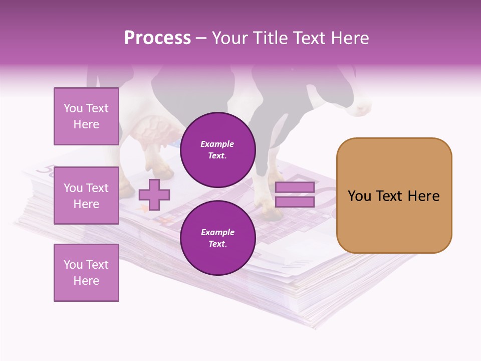 Europe Banknote Research PowerPoint Template