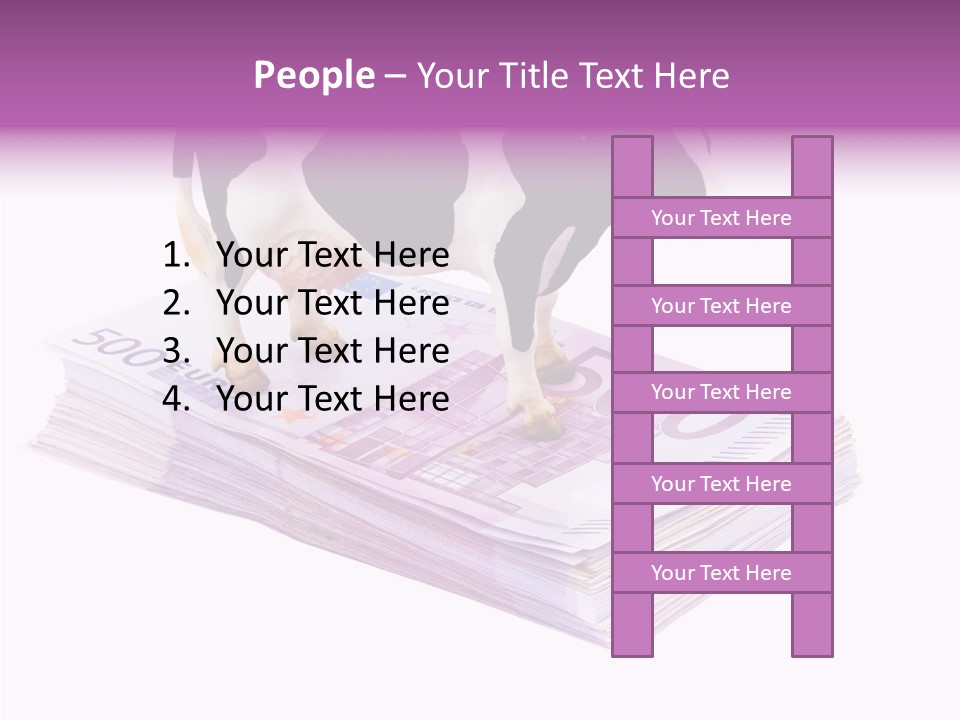 Europe Banknote Research PowerPoint Template