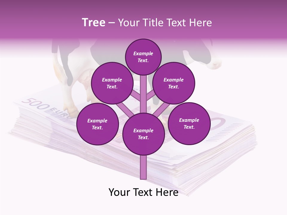 Europe Banknote Research PowerPoint Template